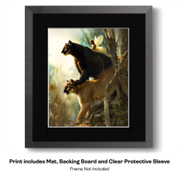 Fairy Riding Cougars