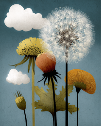 Minimalist Dandelion at Daybreak