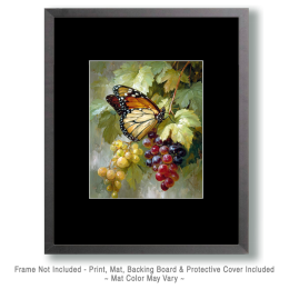 Vintage Monarch Butterfly Art