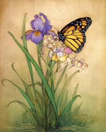 Monarch Butterfly on Wildflowers