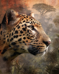 Intent Leopard Vintage Wildlife Art Print