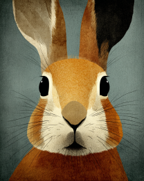 Surprised Bunny Rabbit Vintage Style Wildlife Art Print