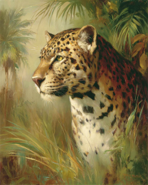 Leopard Portrait Vintage Wildlife Art Print