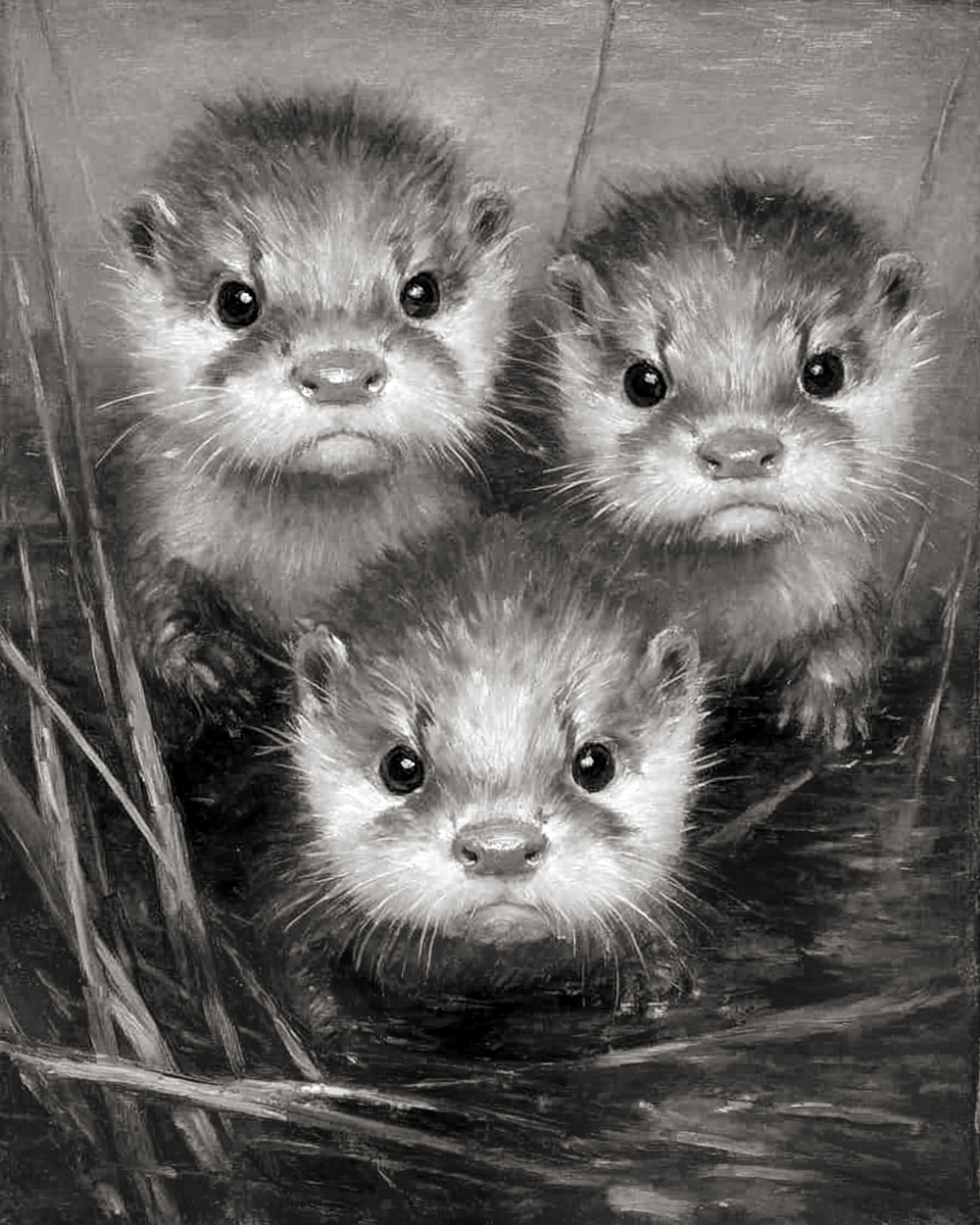 Three Angry Otter Pups in Black and White