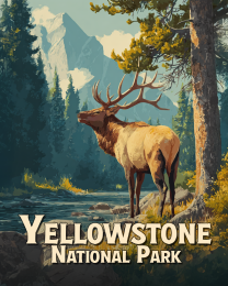 Classic Yellowstone National Park Elk Poster