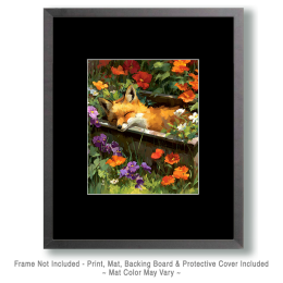 Fox Sleeping in an Old Bathtub Art