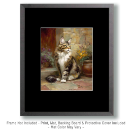 Maine Coon Cat Still-Life Art