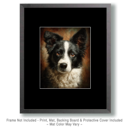Border Collie Portrait Art