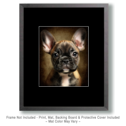Brindle French Bulldog Puppy Portrait Art