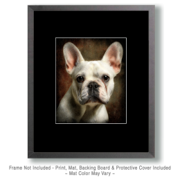 White French Bulldog Portrait Art