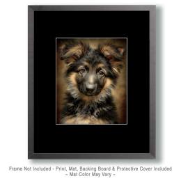 Long-Haired German Shepherd Puppy Portrait Art