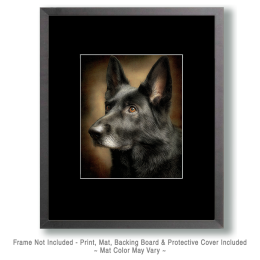 Black German Shepherd Portrait Art