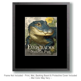 Everglades National Park Aligator Portrait Art