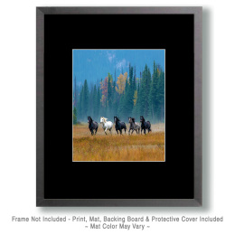 Wild Horses Morning Run Art