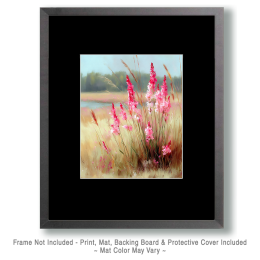 Early Morning Burst of Pink Art