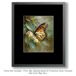 Naturalist Monarch Butterfly Art