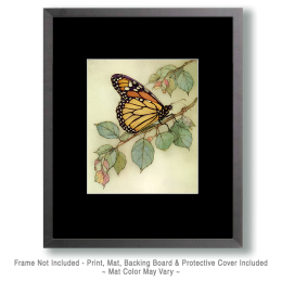 Monarch Butterfly on a Branch Art