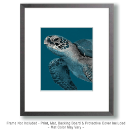 Monotone Sea Turtle Art