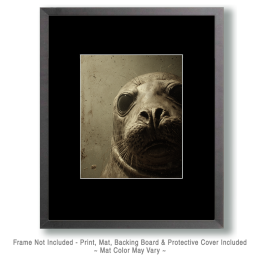 Grunge Seal Face Art