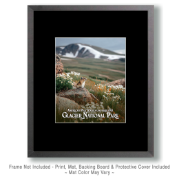 Glacier National Park - Pika Surveys the Mountains and Alpine Landscape Art
