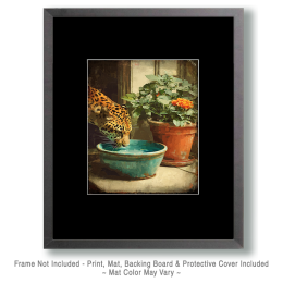 Leopard Taking a Drink Vintage Wildlife Art