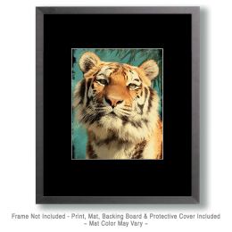 Close-Up Tiger Vintage Wildlife Art