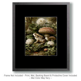 American Toad & Amanita Mushroom Still-Life Vintage Wildlife Art