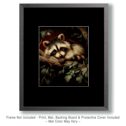 Sleepy Raccoon Kit Vintage Wildlife Art