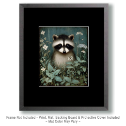Young Raccoon Kit Vintage Wildlife Art P