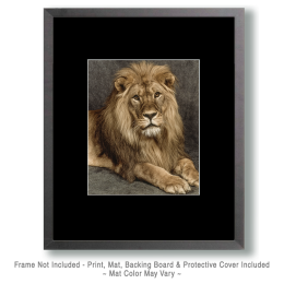 African Lion Portrait Vintage Wildlife Art