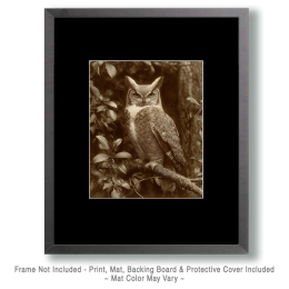 B&W Great Horned Owl Vintage Style Wildlife Art