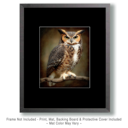 Great Horned Owl Vintage Style Wildlife Art