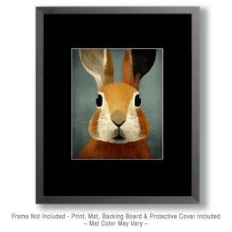Surprised Bunny Rabbit Vintagee Wildlife Art Print