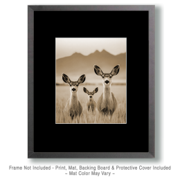 Vintage Three Curious Young Does Art