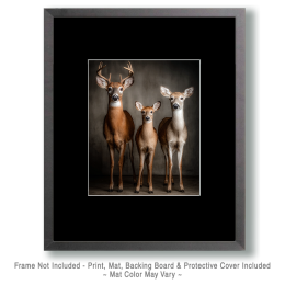 Three Curious Young Does Art