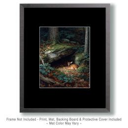 Young Fawn Taking a Nap Art