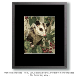 Vinatge Naturalist Style Opossum Art