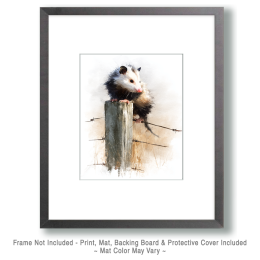 Watercolor Opossum on Fence Post Art