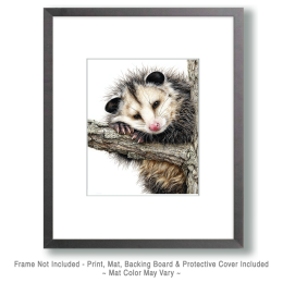 Sleepy Opossum Art
