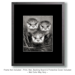 Three Angry Otter Pups in Black and White Art