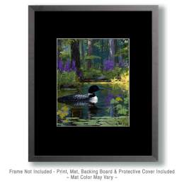 Mid-Summer Loon Vintage Style Wildlife Art