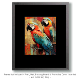 Two Macaw Parrots Vintage Style Wildlife Art