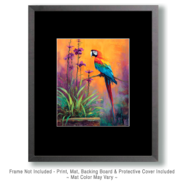 Brilliant Macaw Parrot Vintage Style Wildlife Art