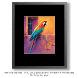 Brilliant Macaw Parrot on Wall Vintage Style Wildlife Art