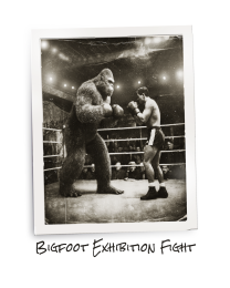 Bigfoot Humor - Bigfoot Exhibition Fight - Boxing