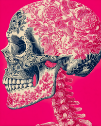 Pink Floral Skull - Día de Muertos Art Print
