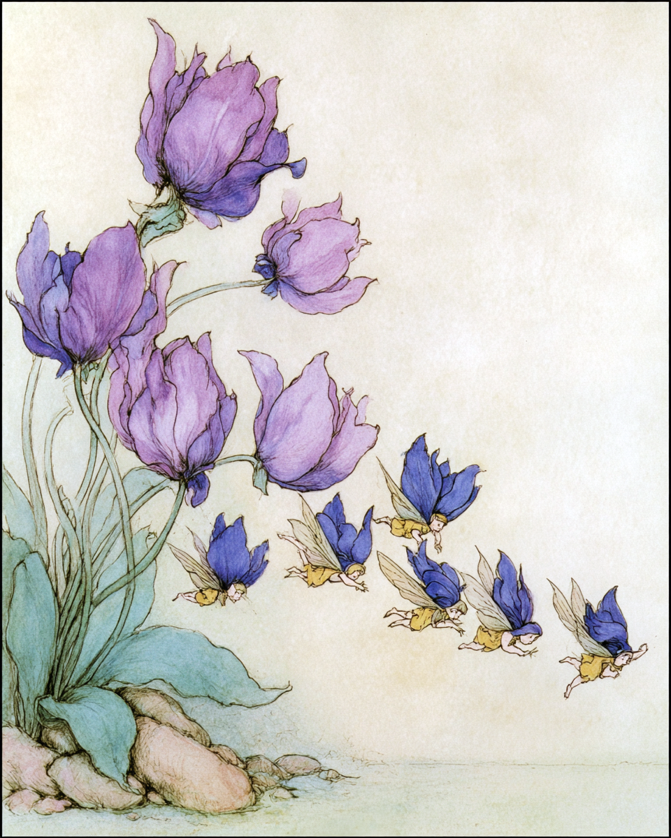 Bellflower Fairies - Fairy Art Print