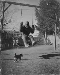 Funny Bigfoot - Bigfoot at Friend's Yard on swingset