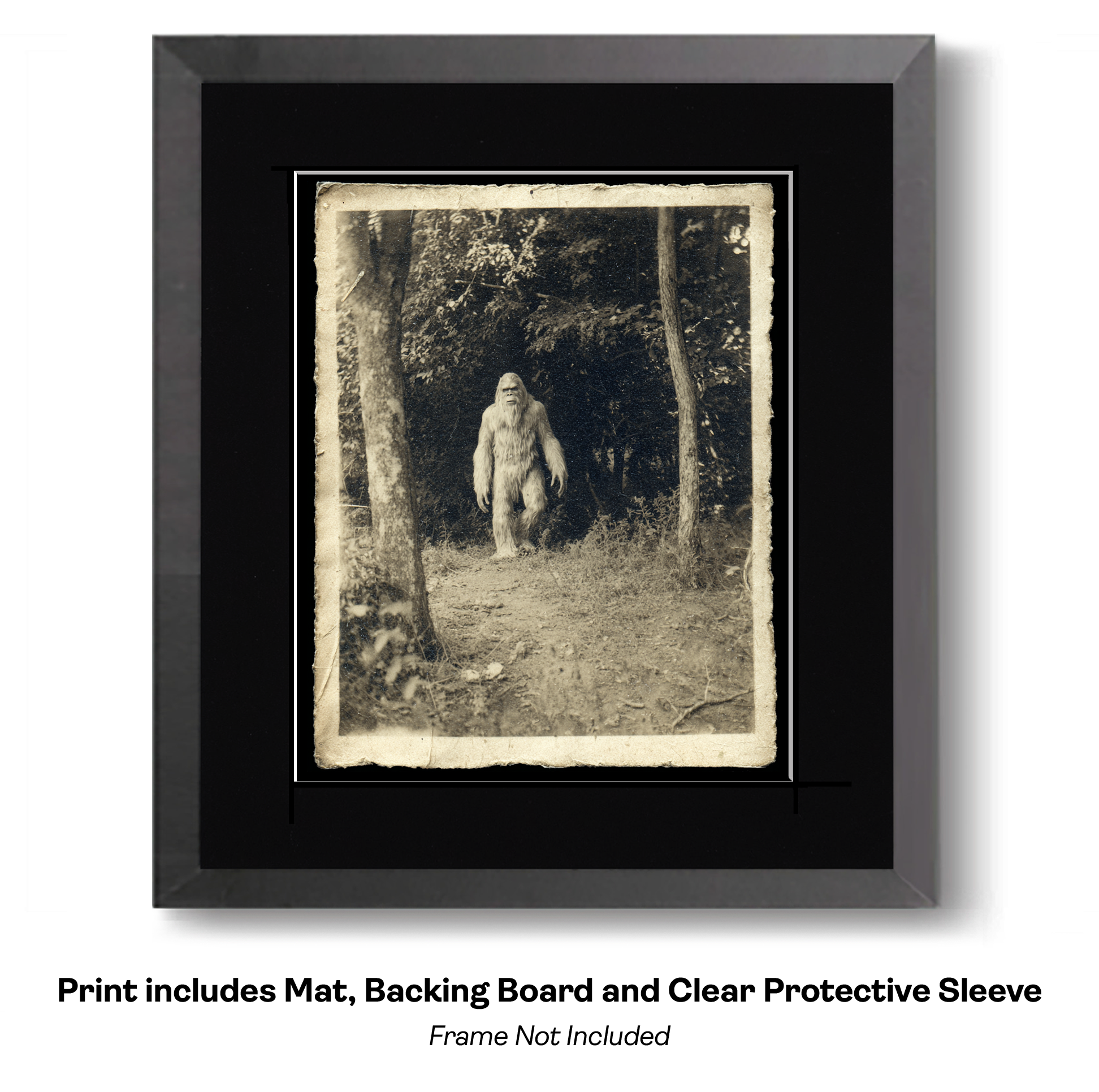 Vintage Photo of Bigfoot Wanting to Make Friends