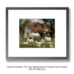 Daisies on Old Homestead - Landscape Art